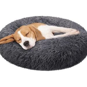 Dog Bed