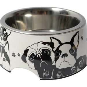 Dog Bowl